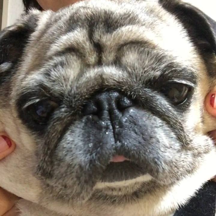 7b87660f 36d9 40b5 b1e4 07058f83d06d