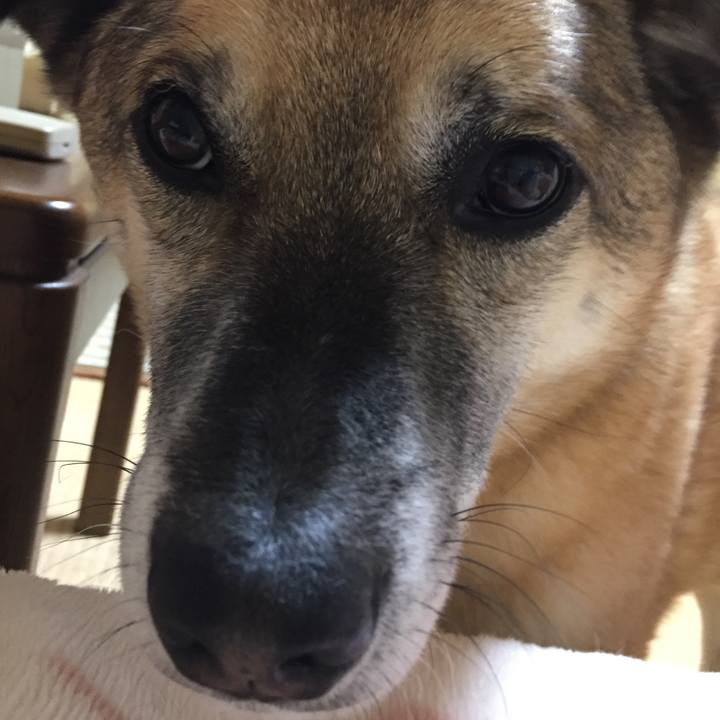 7b87e3e9 a255 4fe4 a6da c5d71ae014c6