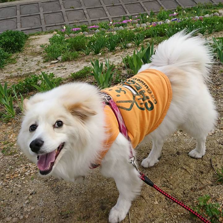 7b88adc8 b3f7 4bfe 86ea 952e658d5a06