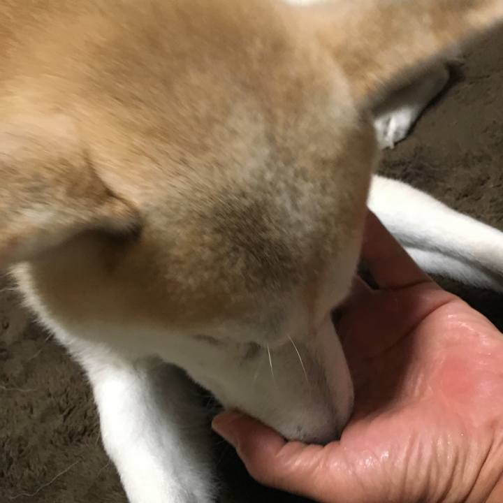 7b88df0f b83d 4bcb 93df 22d7ac6c22f2