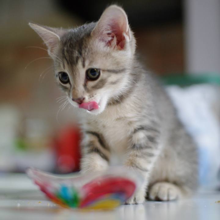 7b895491 3633 47a7 88f9 420a9945f032