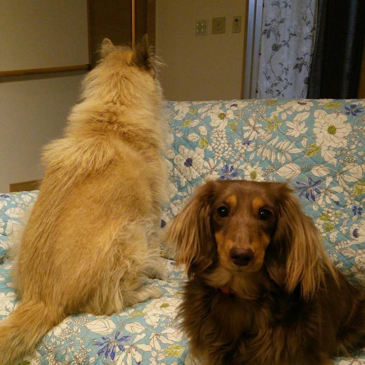 7b8963a6 5831 4a71 842a a7a46426c598