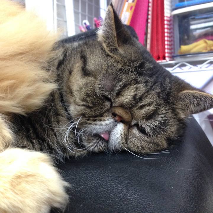 7b898106 3741 42af 8ea8 00345433e9c2