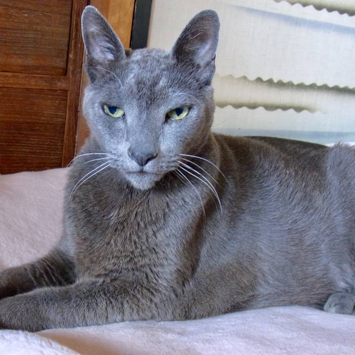 7b898efa 685e 4df8 b7e7 0c02322a90ce