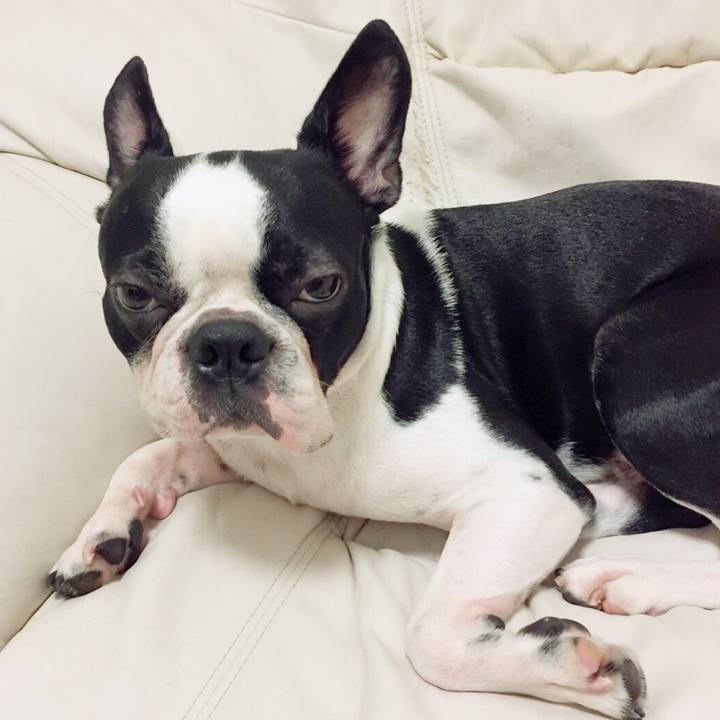 7b89cbc0 a839 4008 ac35 9f9295fd207e