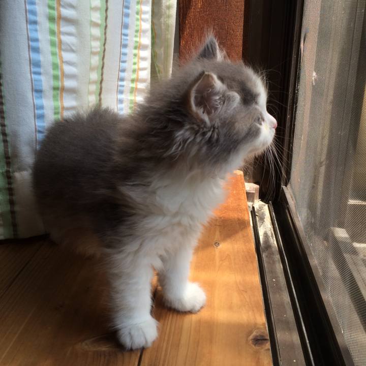 7b89cfbb 65aa 4815 8dbd aa442b9e6921