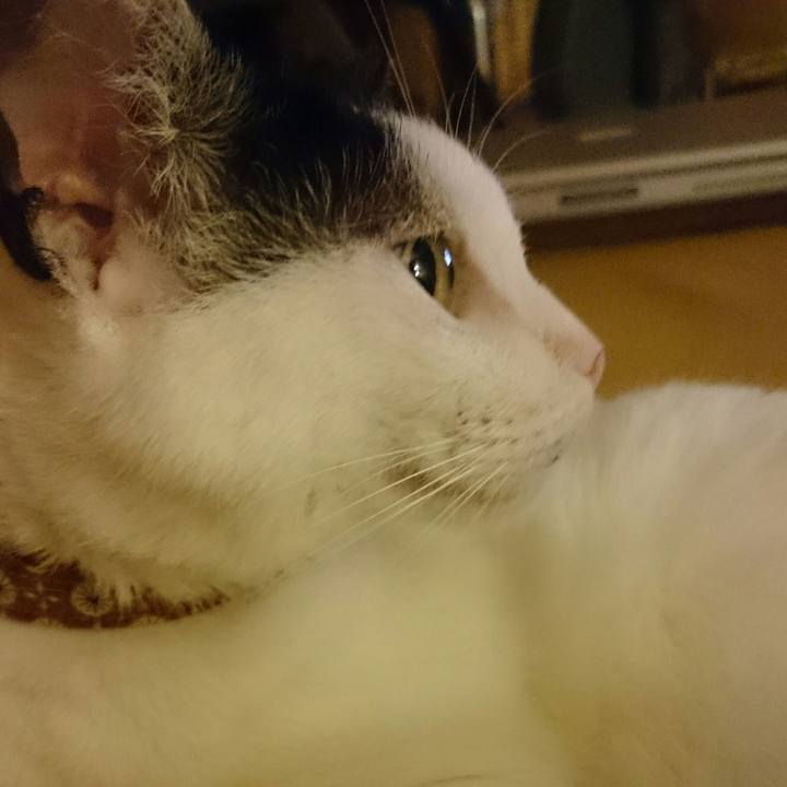 7b8a09fa 6a6f 4677 9979 f9fb63c2064e