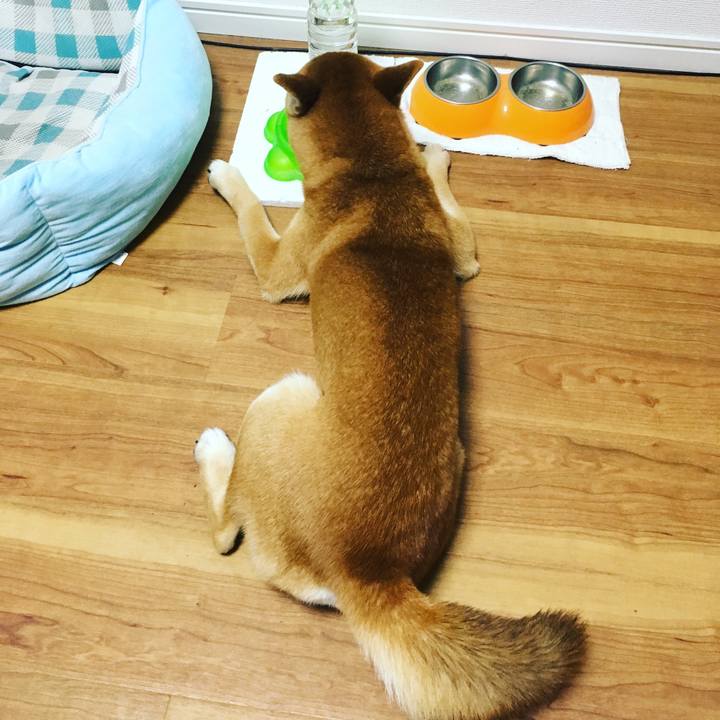 7b8a2582 3d79 4662 952a 37a72fac3fcd