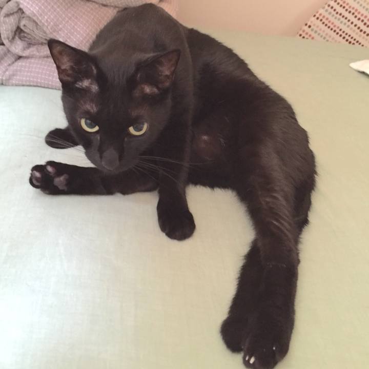 7b8a5136 2842 4330 a000 9347dcccb73f