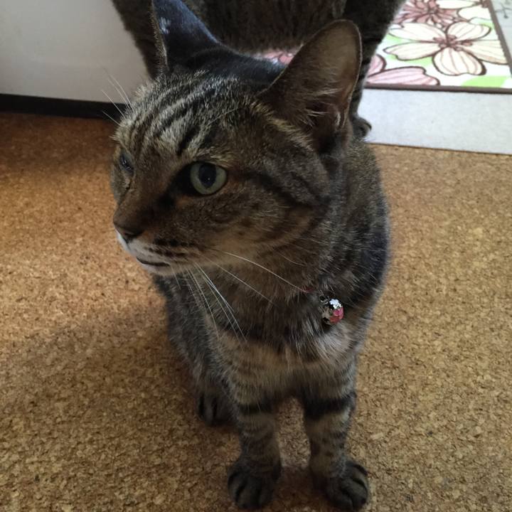 7b8a8b27 5848 4a91 99c5 bc3033acac50