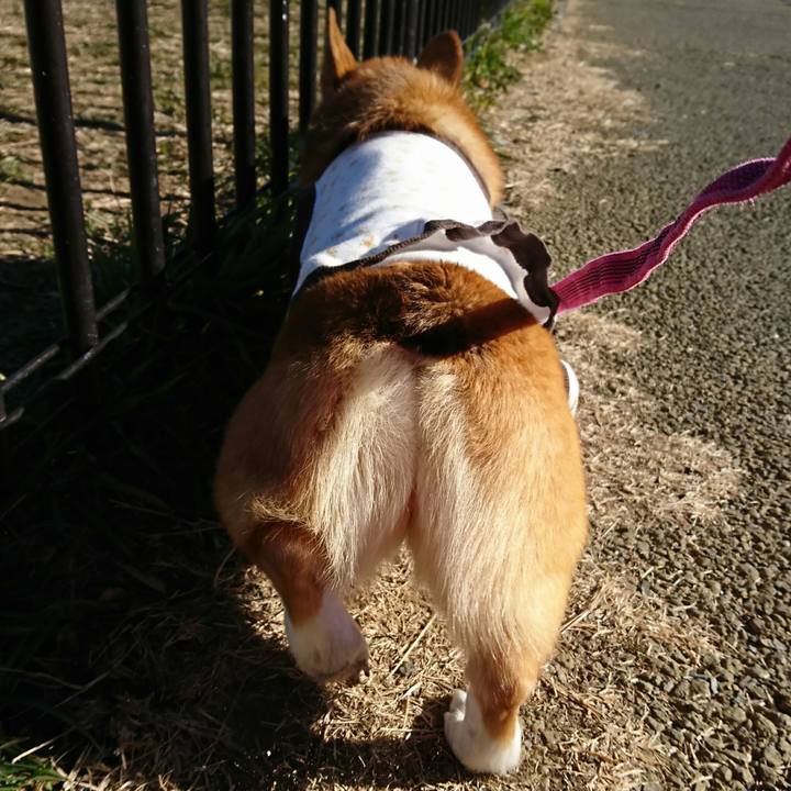 7b8a9755 98d0 4e8b 9c19 d29800a5c866