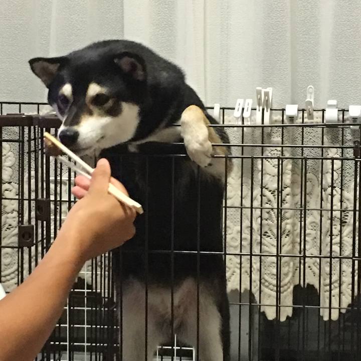 7b8b29a6 2dac 414b 8fdf ffbd855aba59