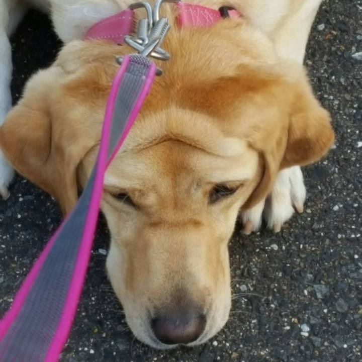 7b8b3960 4f01 4aeb 8e06 413d375736ea