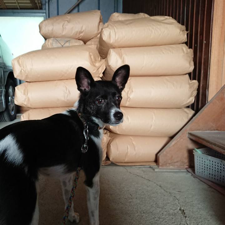 7b8ba6a2 ebd9 4b75 80cc 9ac3edf4cdc9