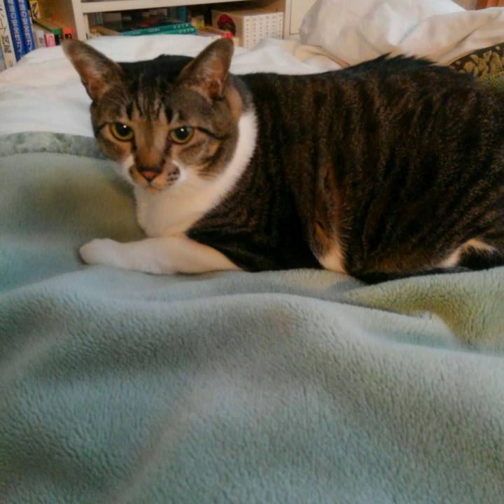 7b8bca18 4ee7 46e3 aa7d 3d0fcaf42ff2