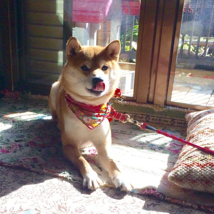 7b8d7d40 79c0 42fc bfcd e92833f5b2cc