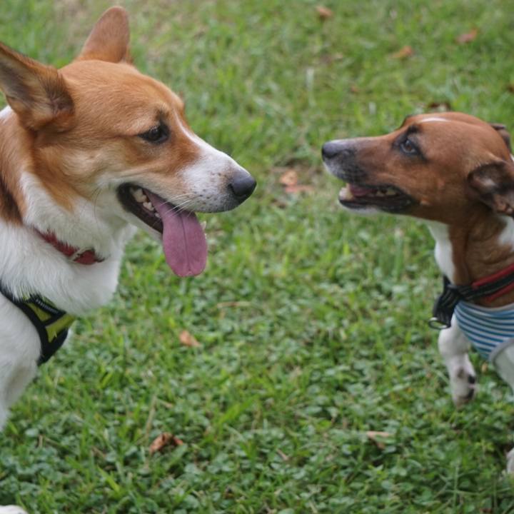 7b8e09af 6eef 4266 ae9b 0049965ace5f