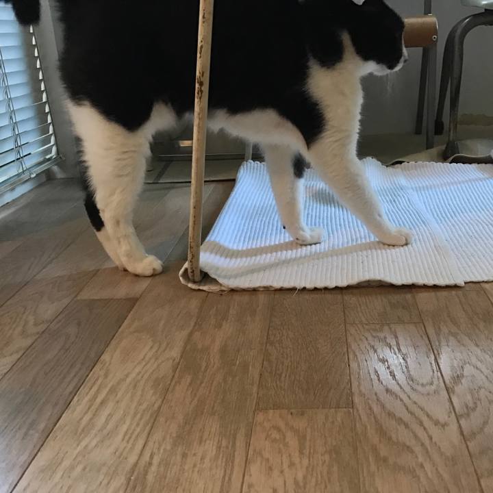 7b8e803d 0ac2 4c1f b1af 1f140e5f4b03