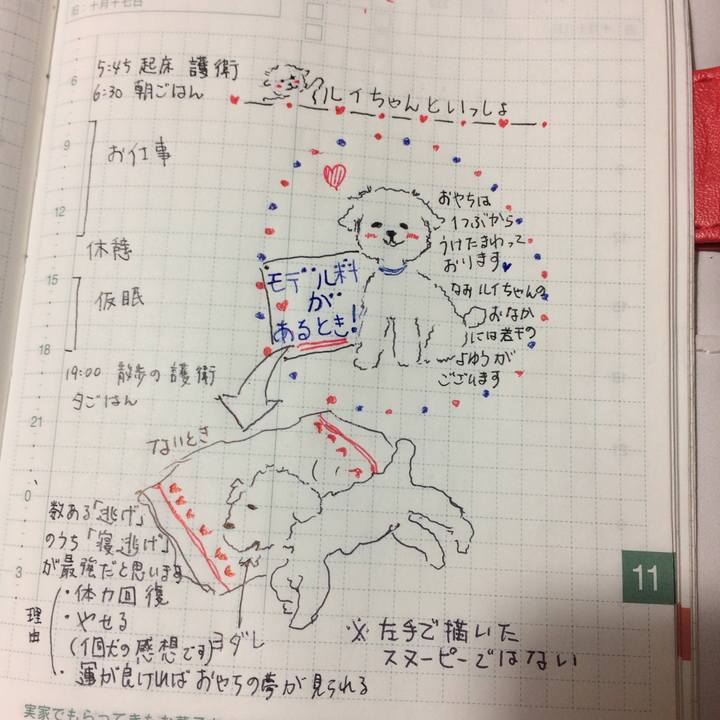 7b8eaf86 bf2f 486e 9ae6 1a5b881e4c8d