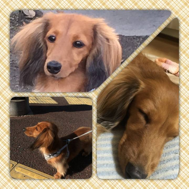 7b8ecfa9 94dc 48f4 b72f 4af6ea6fb2d3