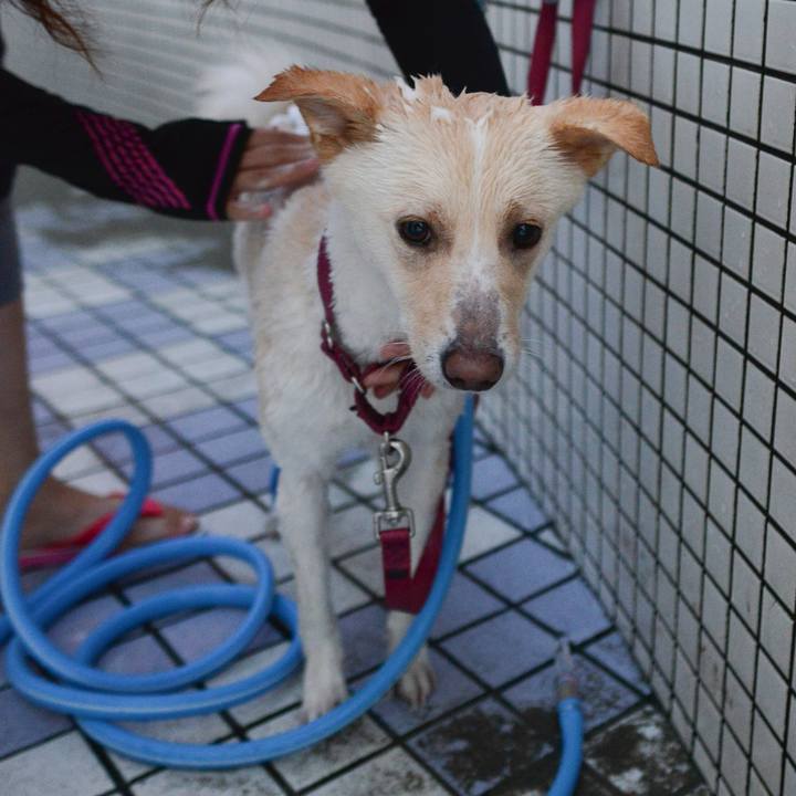 7b8f5465 8a1b 4aa6 961d 6350845239ba