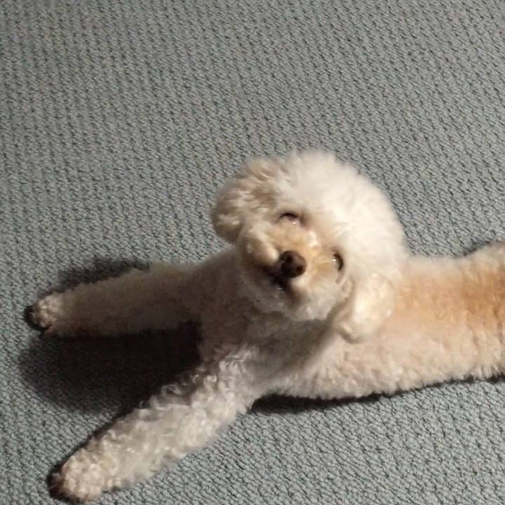 7b8fc607 acdf 4ff2 997d 6c586fe996fb