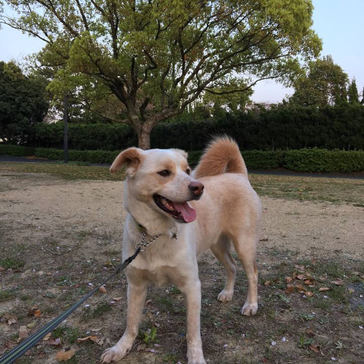 7b8fcbd3 1089 4ce6 893a 4e9c8d921bbf