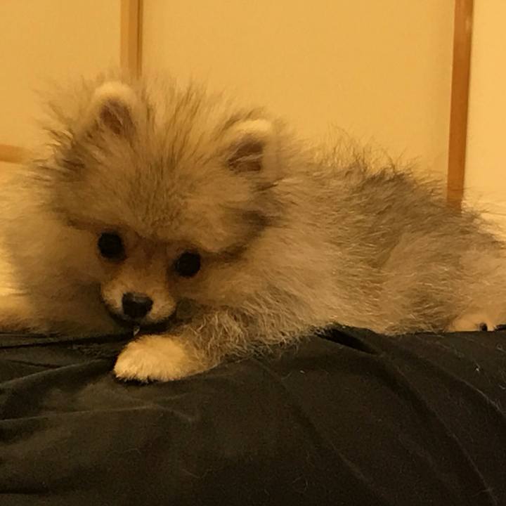 7b901fe6 bd92 4164 aada 3aab4ff31db9