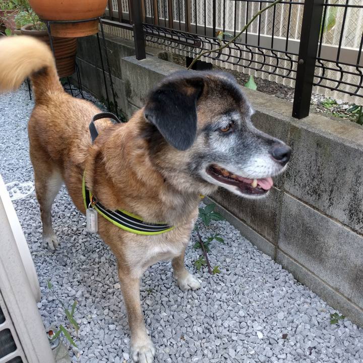 7b906de3 a641 4b1b 8d4e f83e78a83476