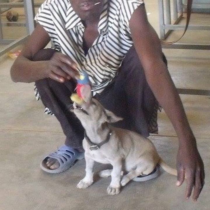 7b911a2d 0919 4cc6 b011 3dc21f38e195