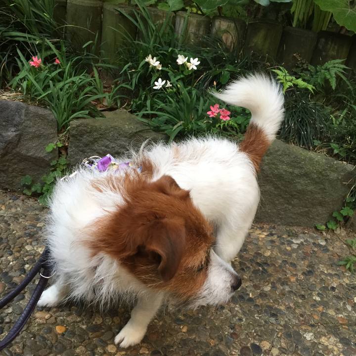 7b91cc35 c6d0 4460 83ab 2d15e7212a35