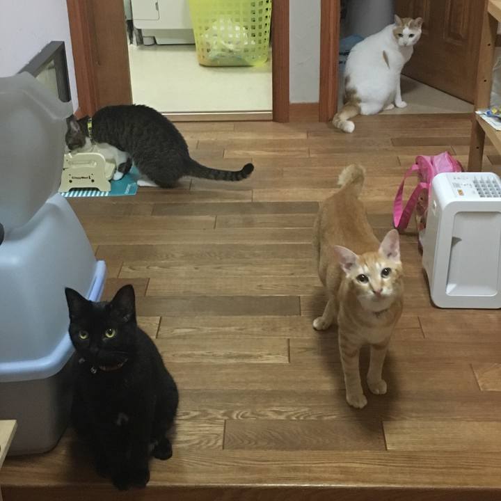 7b927bf1 4d18 44ea a321 daad46fdfc7c