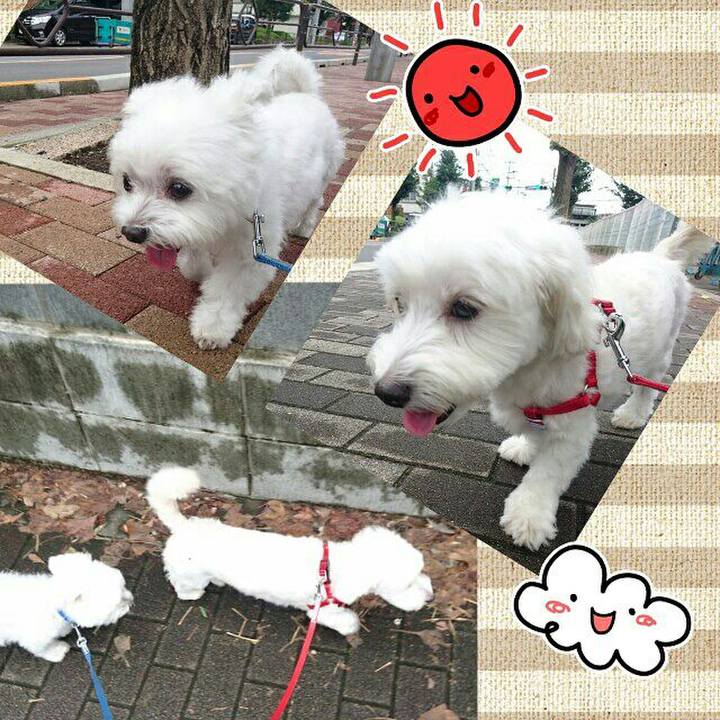 7b92e20d 1eeb 4776 9565 208144bd6d85