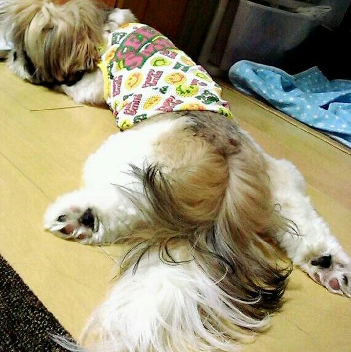 7b936b13 15fa 49dd aa88 65893a0e0678