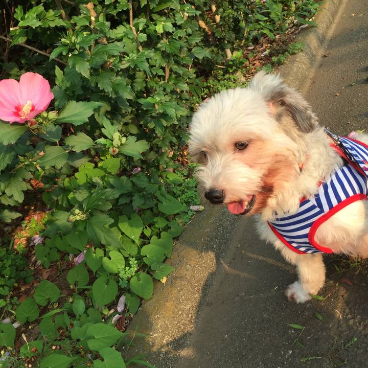 7b9389d7 0ec7 4fc6 b836 fd35debd82f5