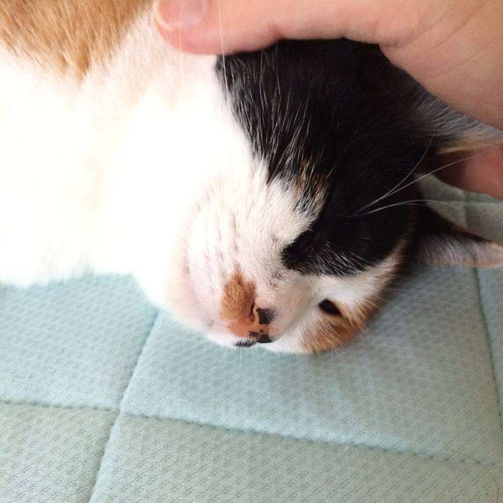 7b93c8a0 55e6 49d9 8469 7f76b0403634