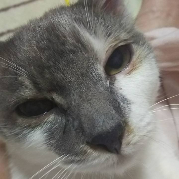 7b93c904 990a 45e0 a621 19579ed703c2