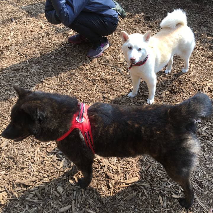 7b94c899 1dc7 48e7 ac9d 7d690aeab3f4