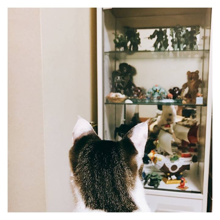 7b95009c f381 4ceb 8726 de536c9ce921