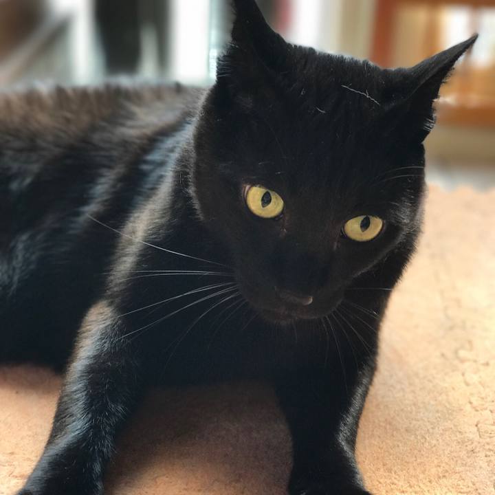 7b9503c7 c097 4860 b091 a714928df81d