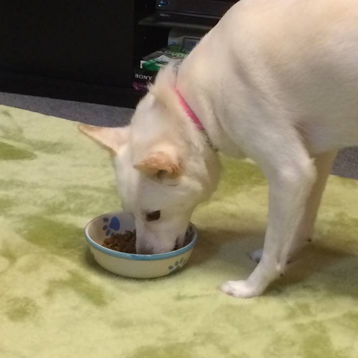 7b9589bc eef3 4a14 bc90 283debd4c33f