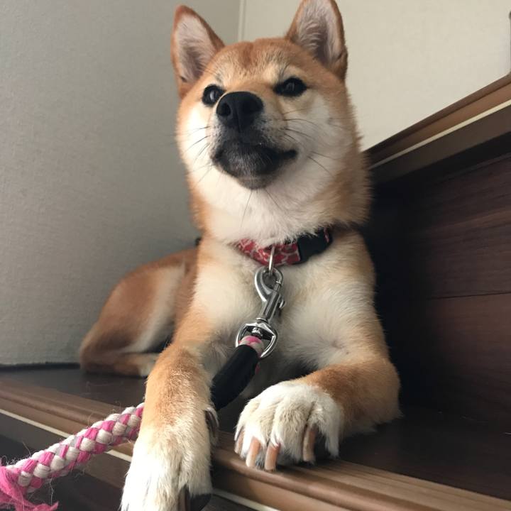 7b95bd37 5b2a 443c bca4 08247574ff5c