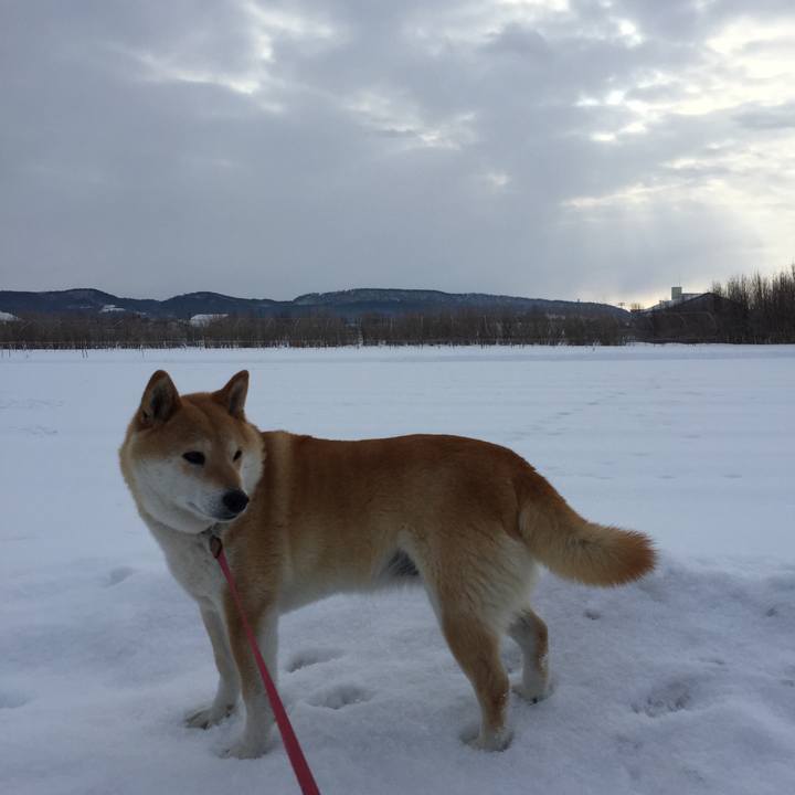 7b9644ff b996 4364 a148 c09052753e83