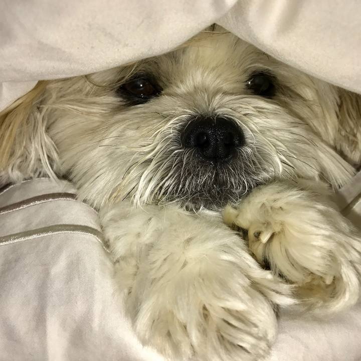 7b965143 fd0e 4889 a8fd 06fcac4d1230