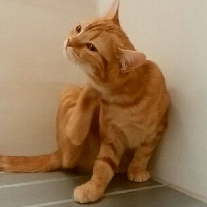 7b96c674 2c31 4a30 a0e4 0534f5326d74