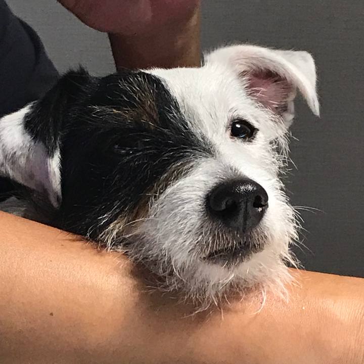 7b973911 e54a 43ec 9630 614e8fd9dcdf