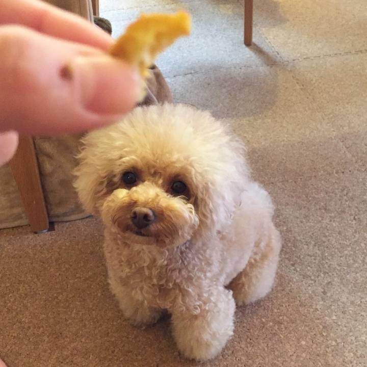 7b978ad8 83d3 4da7 9cab 95fd1fc75bdd