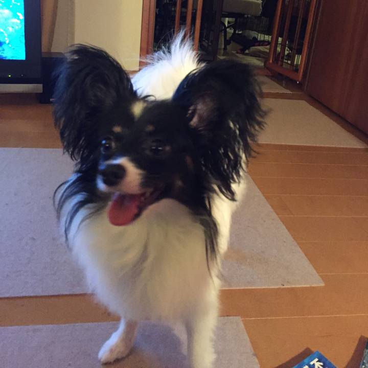 7b986f2e e1a2 4b69 98f9 1cc51eb5562c