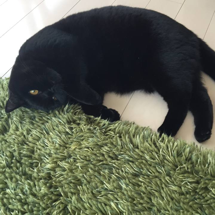 7b9877da d981 4d50 88cb da8eeb17a3e9