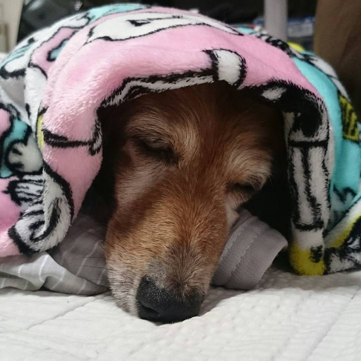 7b98d53e cd34 43a7 a60f 1b4fa35f9e03